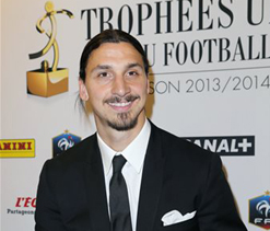 Ibrahimovic named France`s player of the year